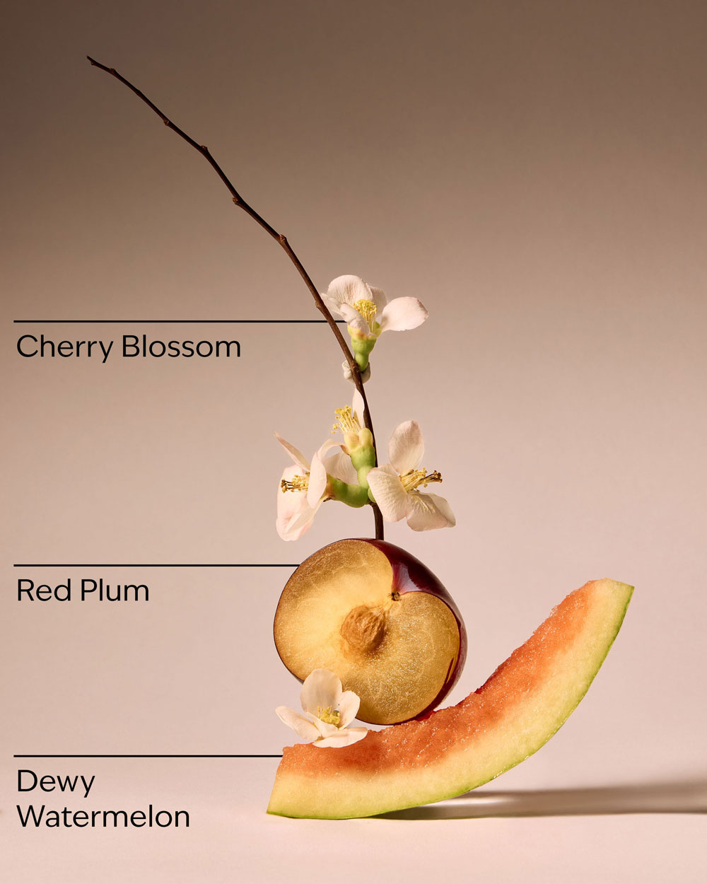 لوسیون بدن بس اند بادی ورکز Cherry Blossom